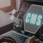Umbraco Consulting When Should You Hire an Expert for Complex CMS Projects?