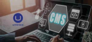 Umbraco Consulting When Should You Hire an Expert for Complex CMS Projects?