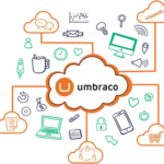 When Is the Right Time for an Umbraco CMS Migration?